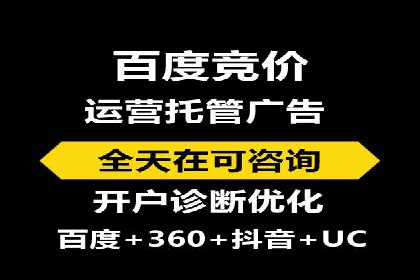 网络推广与竞价广告：双管齐下的策略案例